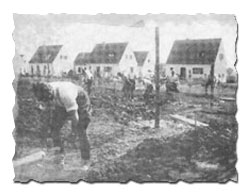 Historische Aufnahme: Gartenarbeiten vor den Siedlungshäusern